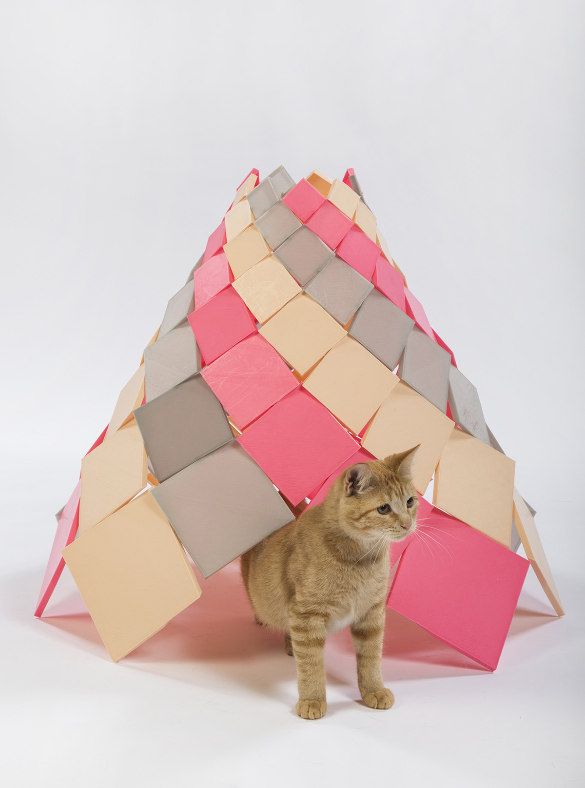 DSH-architecture-Spiral-Kitty
