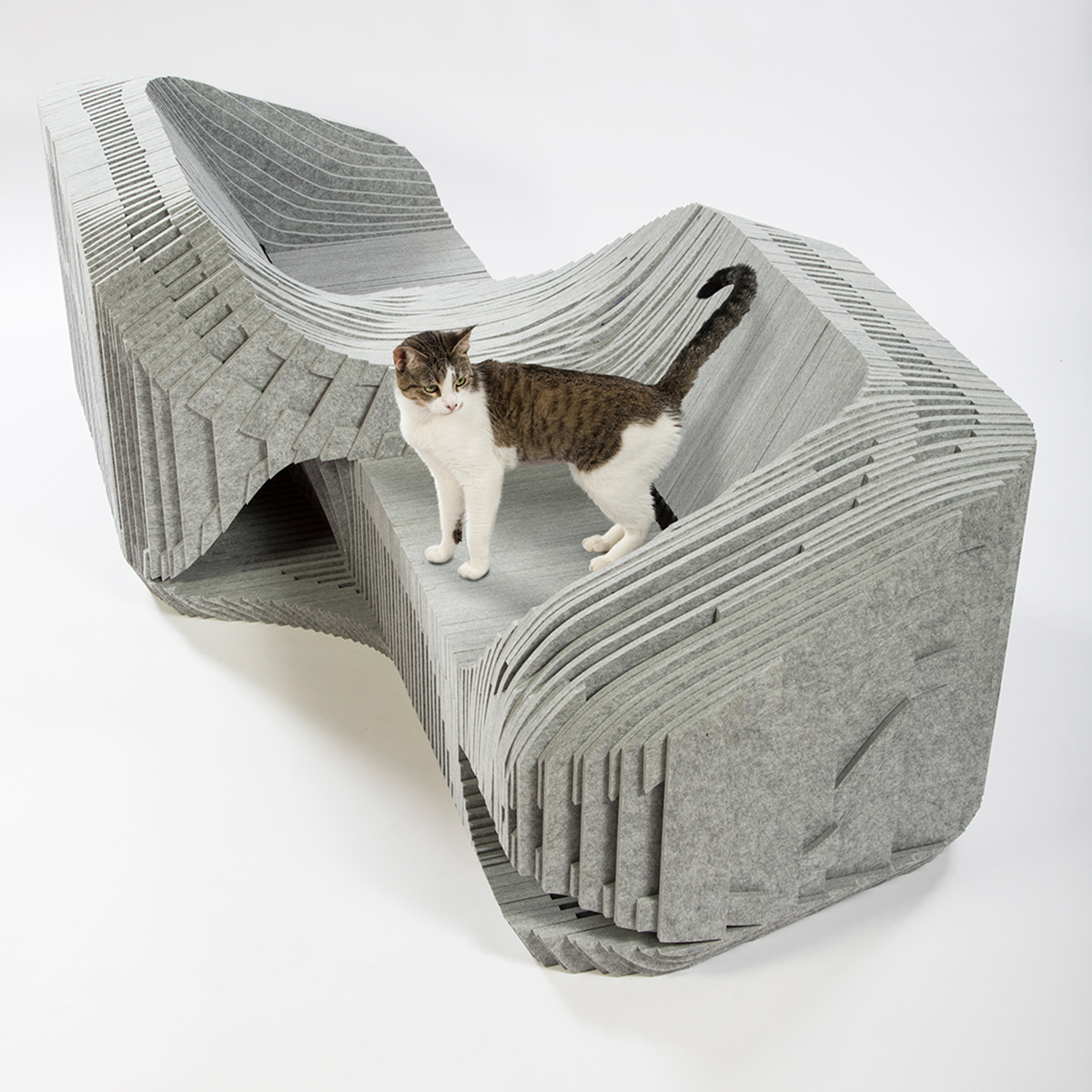 Formation-Association,-Arktura,-BuroHappold-Cat-a-Tete