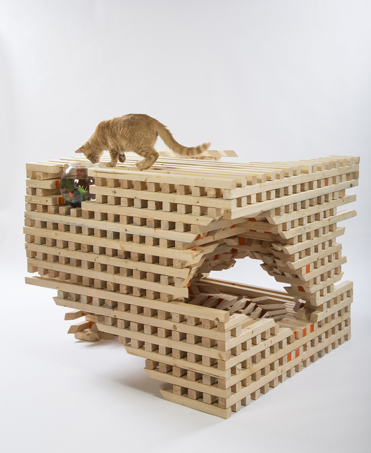 HOK-catSCAPE