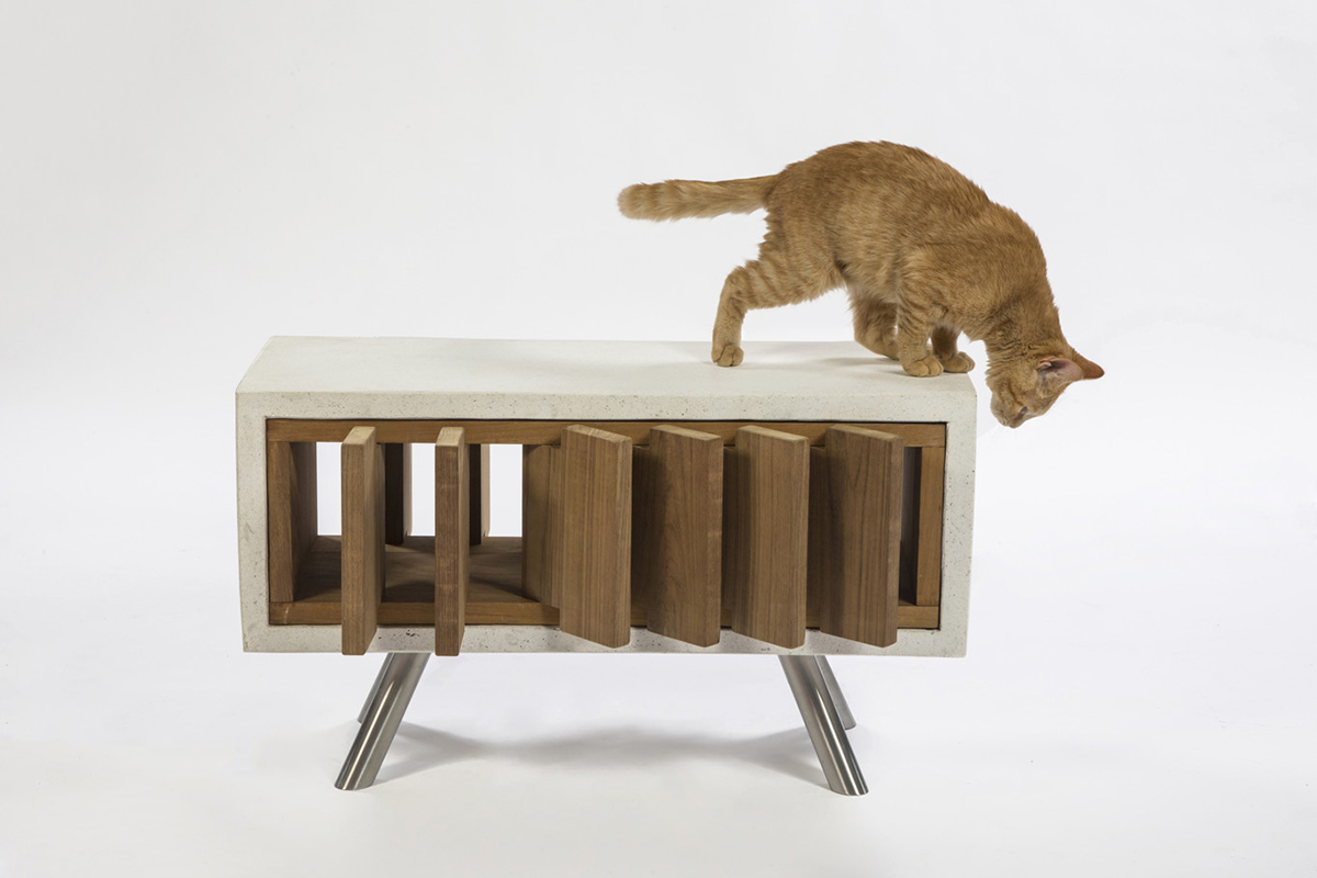 Standard-Architecture-Design-California-Catcube