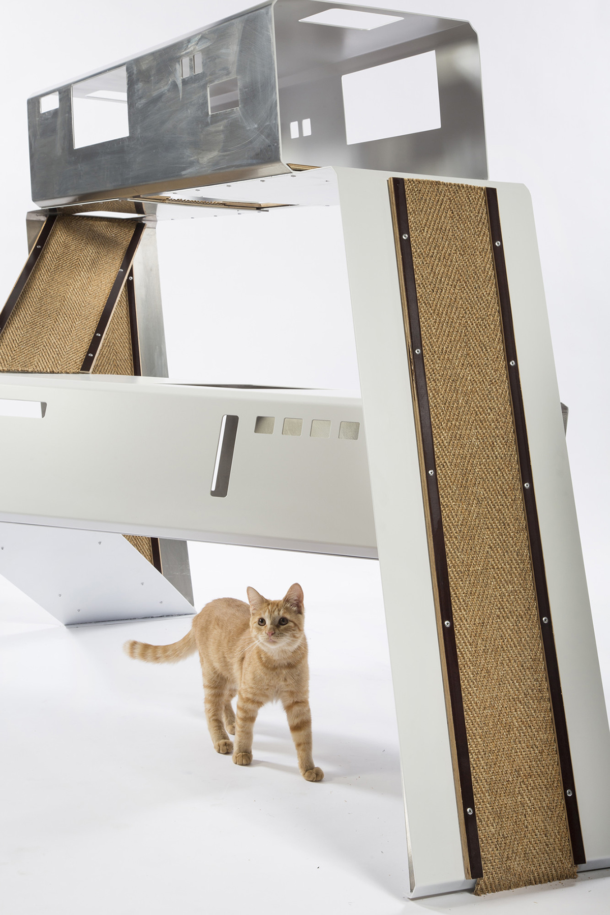 Warren-Office-+-Schmidt-Designs-Trophy-gallery
