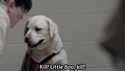 Big Boo perro